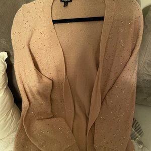 Express Sparkle Cardigan